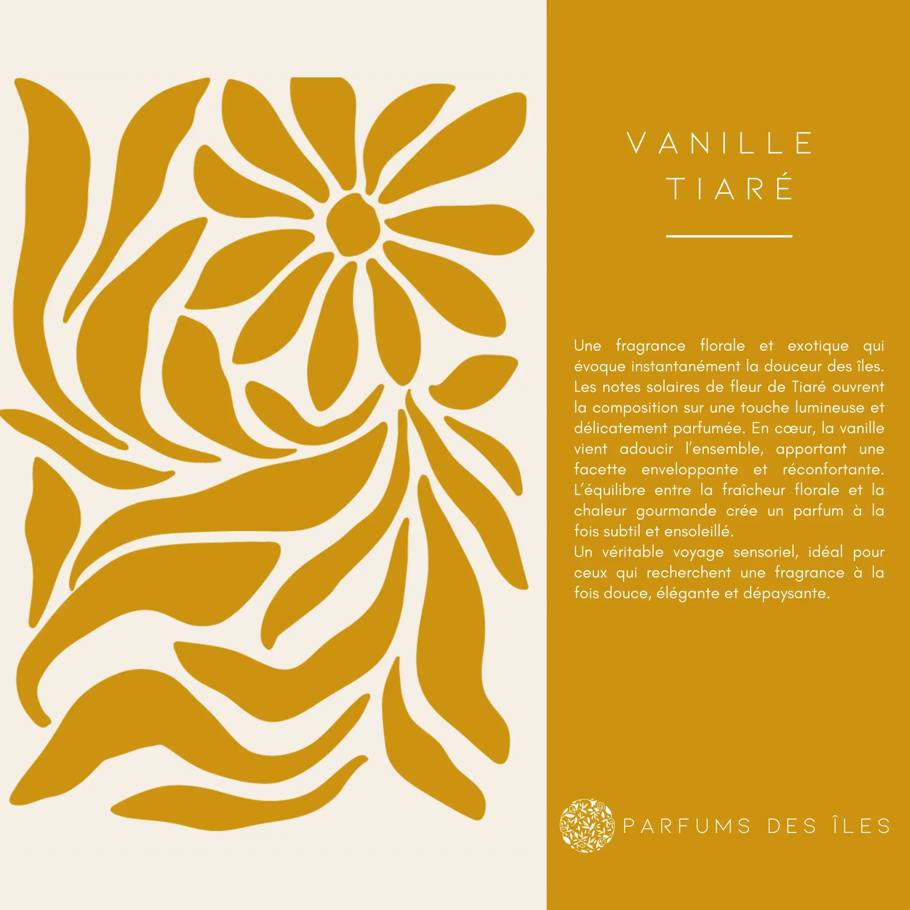 tiaré 3
